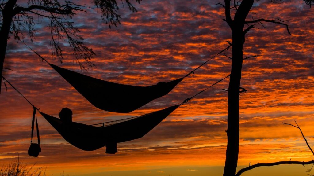 THE HEALING POWER OF DOING NOTHING